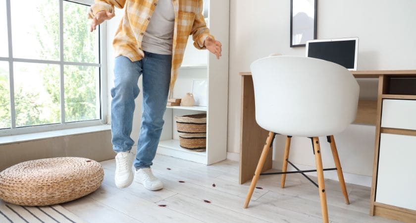 sonhar com baratas significado bíblico